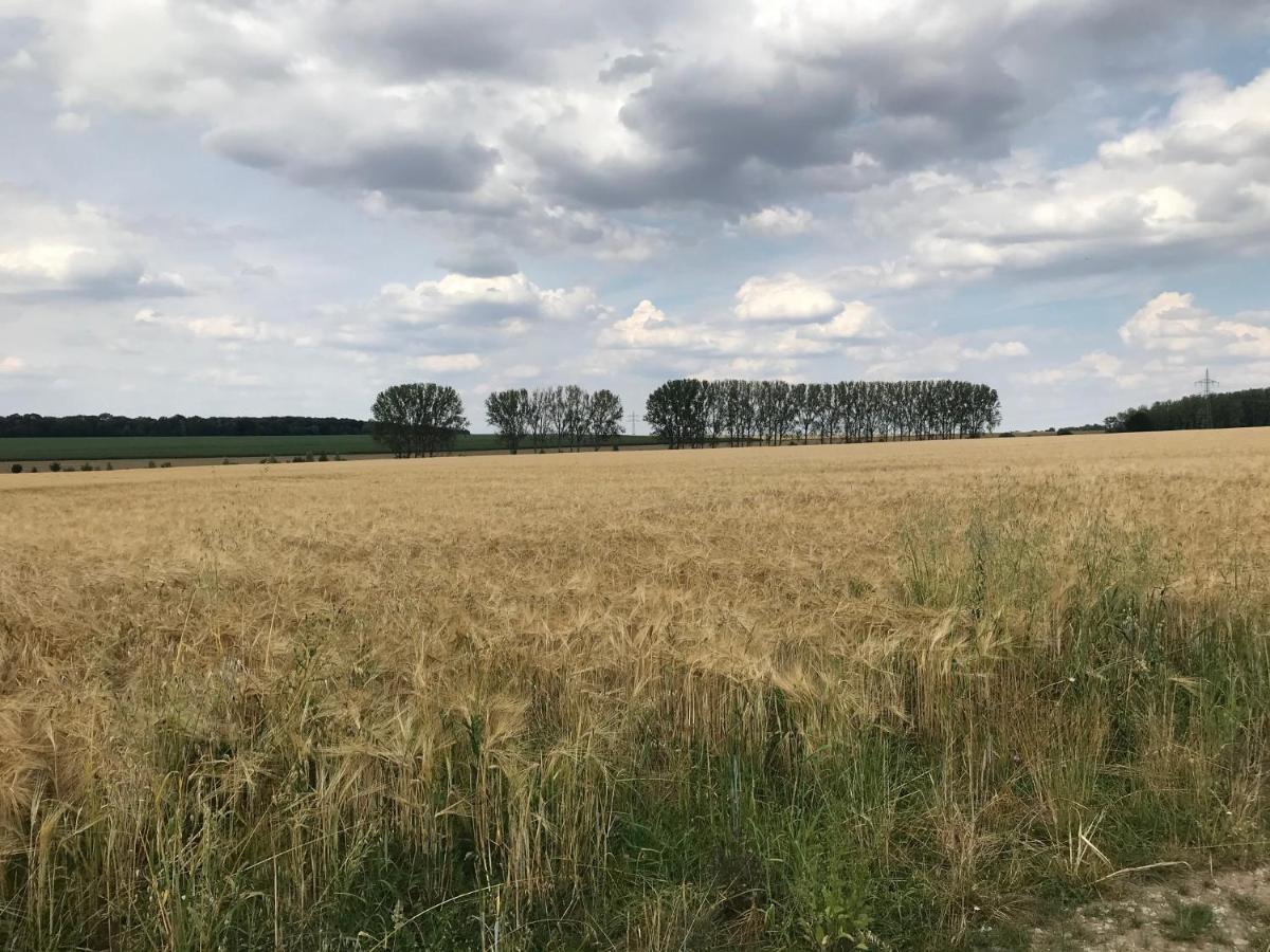 Pappelwiese Weimar (Thuringia)